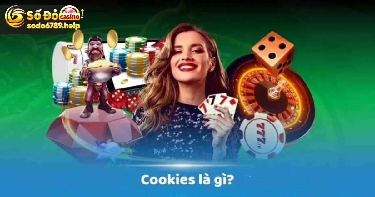 Chính sách Cookie Sodo6789 là như thế nào?