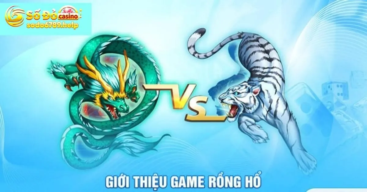 Game rồng hổ - vài nét cơ bản bet thủ cần nắm khi tham gia