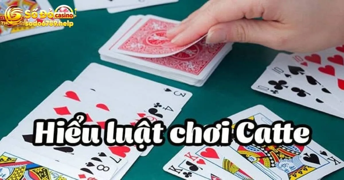 Game Bài Catte - Bật Mí Kinh Nghiệm Thắng Lớn Từ Cao Thủ