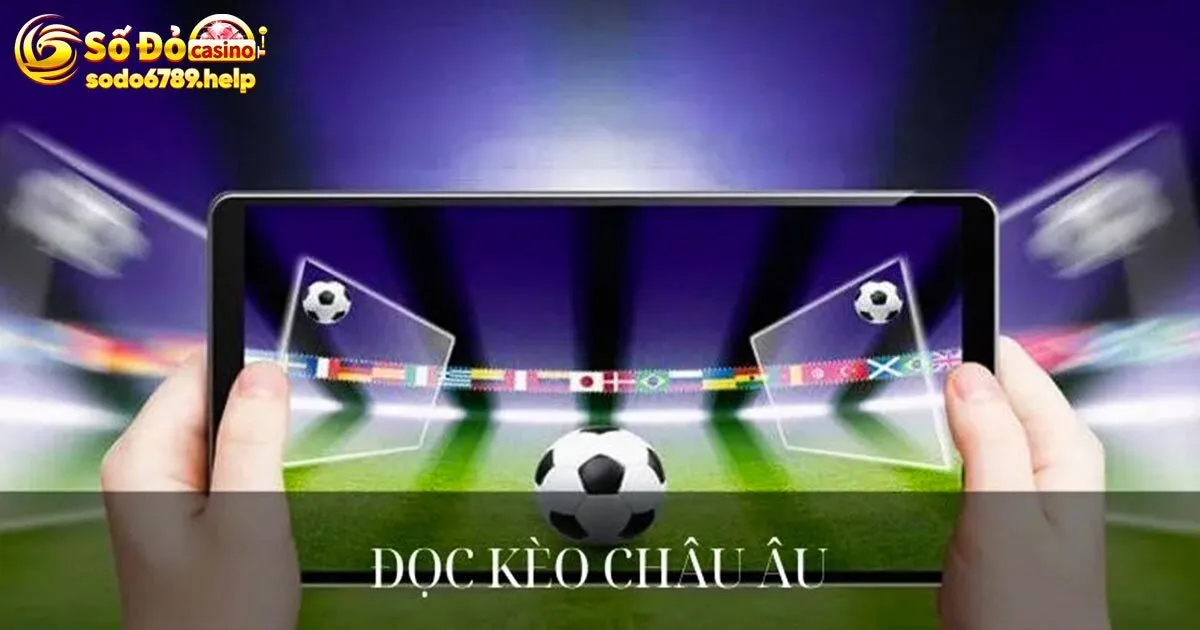 Cách đọc kèo châu Âu cơ bản cho người mới bắt đầu