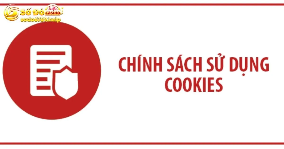 Quy định quan trọng trong chính sách Cookie Sodo6789