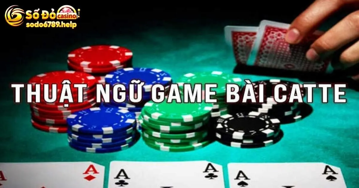 Hướng dẫn chơi game bài catte theo từng bước