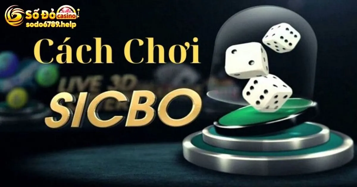 Cách chơi game Sicbo dễ nhập cuộc